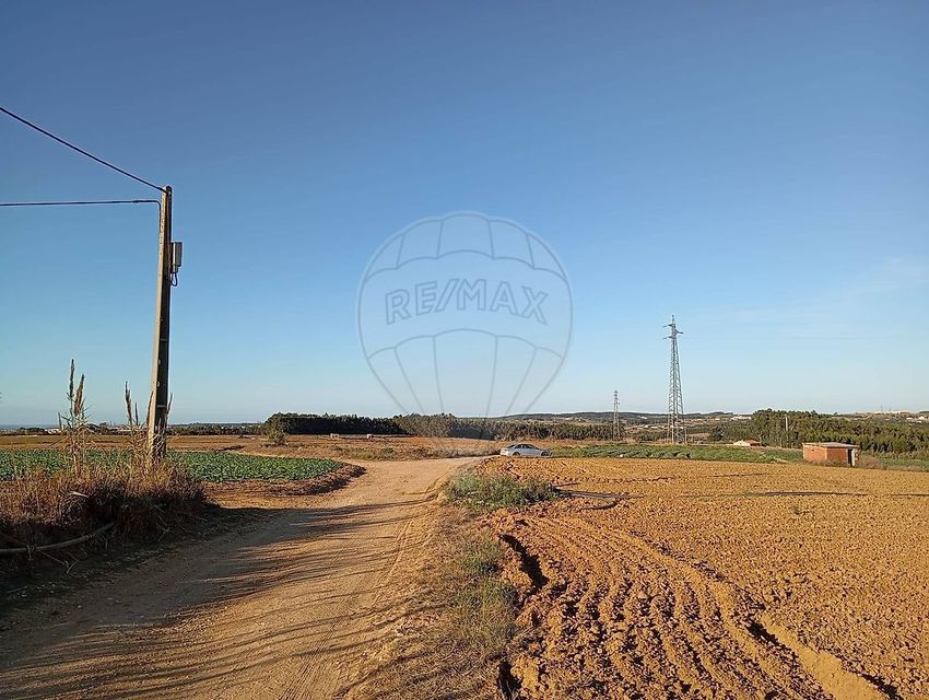 Imagem Vistas de terreno em Bufarda - Ribafria