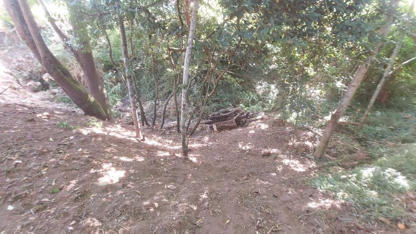 Imagem de terreno em Rua Principal Carapinhal s/n