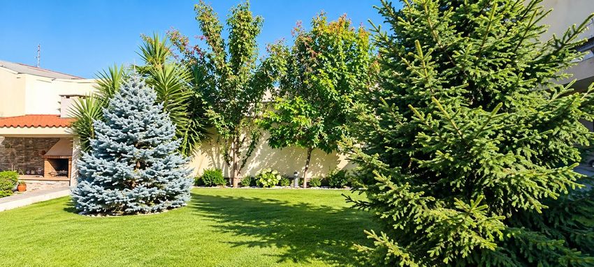 Imagem Jardim de  moradia independente em Rua de Medancelhe, 20