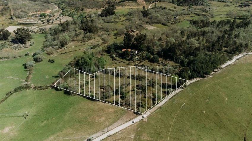 Imagem de  quinta em Pêro Viseu