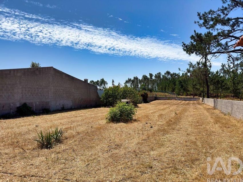 Imagem de terreno em Vieira de Leiria