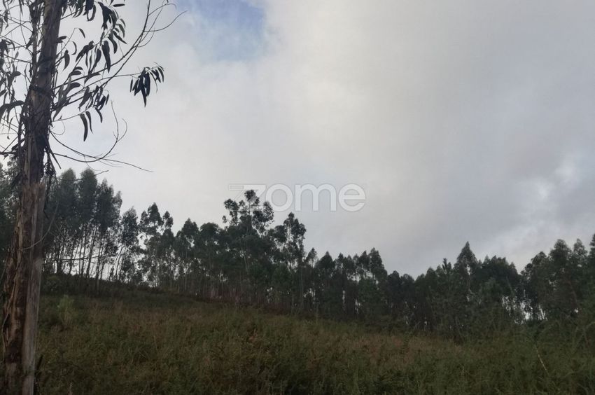 Зображення Земельна ділянка, земельна ділянка, Rua do Azevim