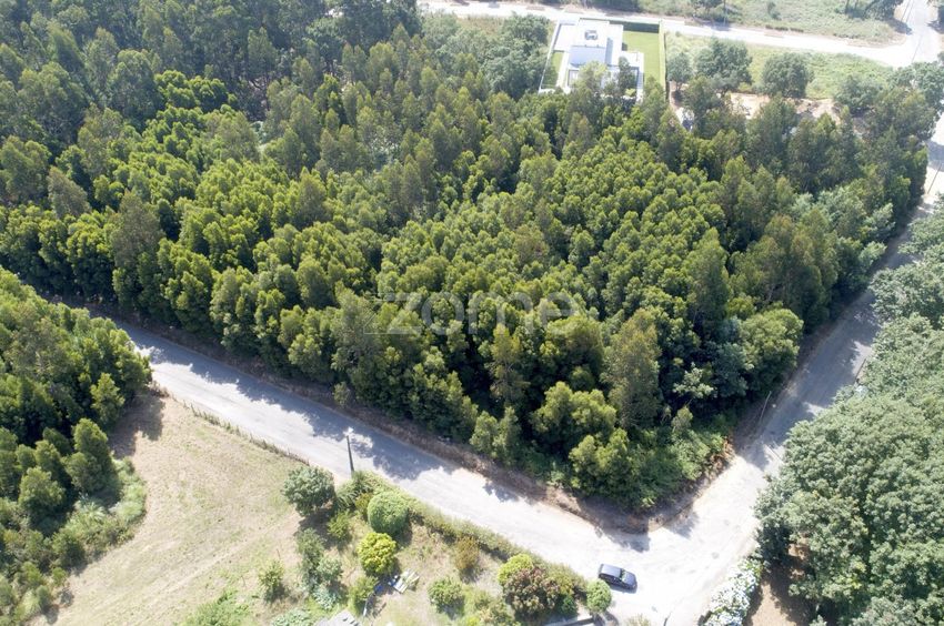 Imagem Terreno de terreno em Rua Poeta Carlos Morais