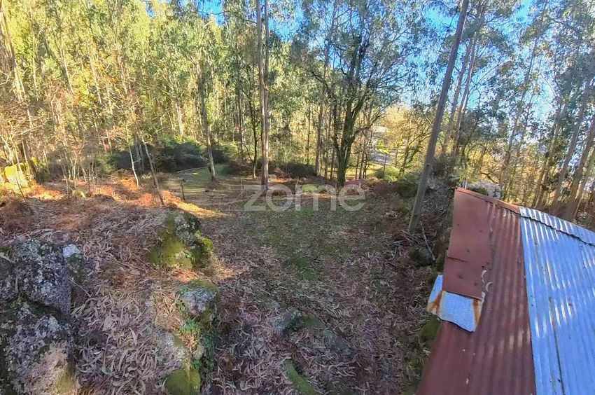 Imagem Detalhes de  moradia independente em Cm1149