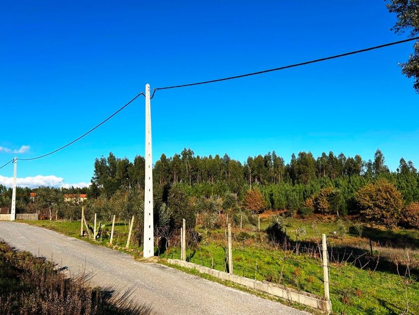 Imagem Vistas de terreno em Pedrógão Grande