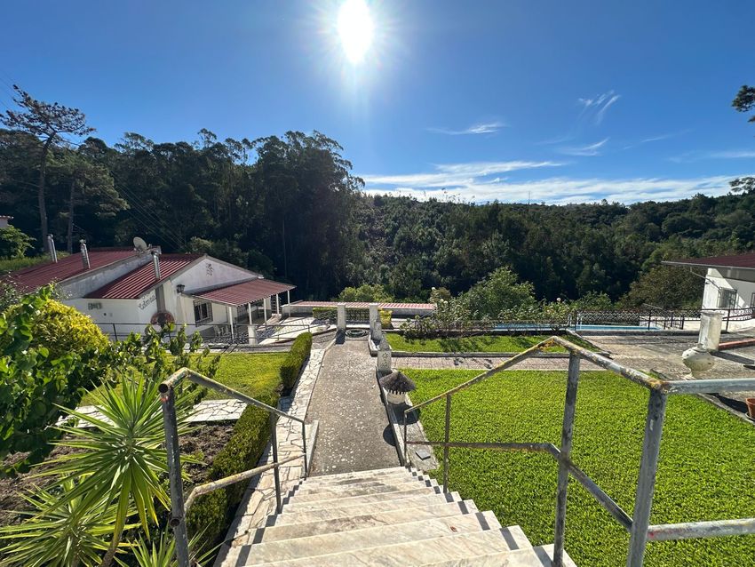Imagem Jardim de  moradia independente em Rua Bernardim Ribeiro