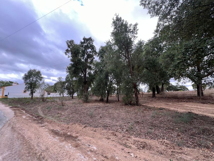 Зображення Сад, земельна ділянка, Lugar da estrada