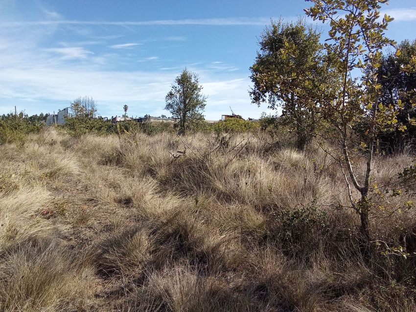 Imagem Vistas de terreno em Óbidos
