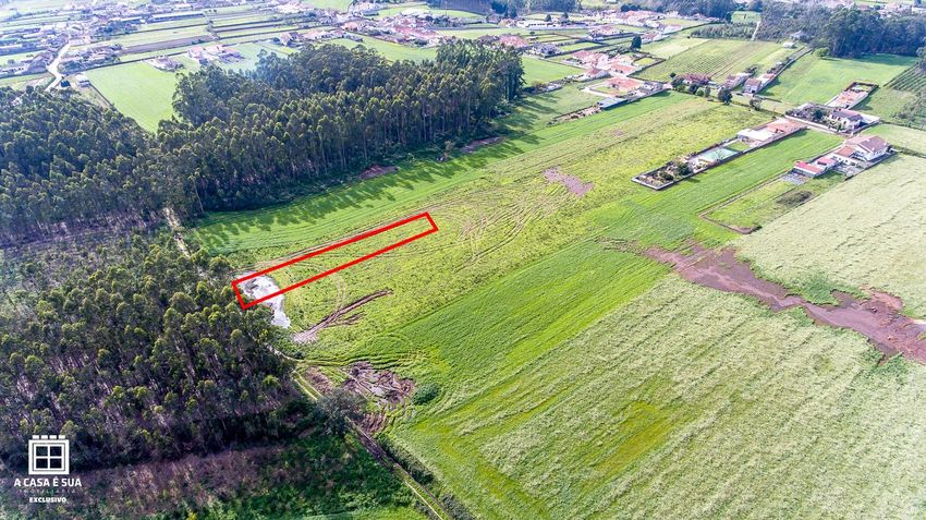 Зображення Земельна ділянка, земельна ділянка, Ovar
