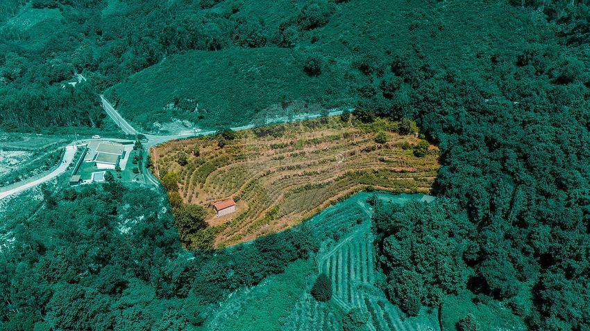 Imagem de terreno em Gondoriz