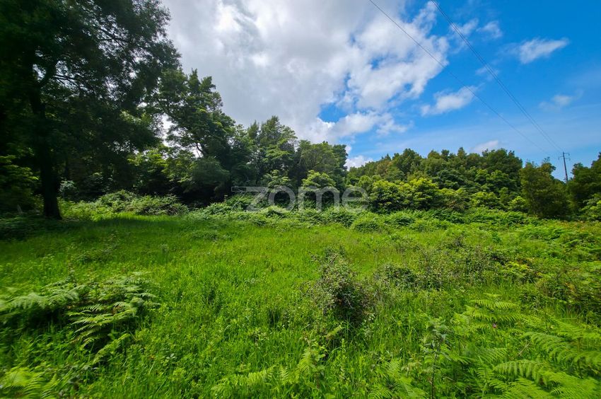 Imagem Terreno de terreno em Santo António