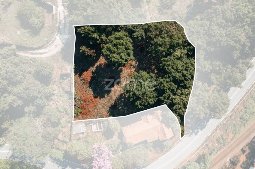 Imagem de terreno em Rua de Baião s/n
