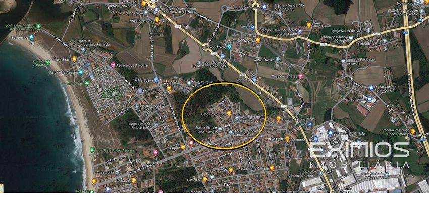 Imagem de terreno em Árvore