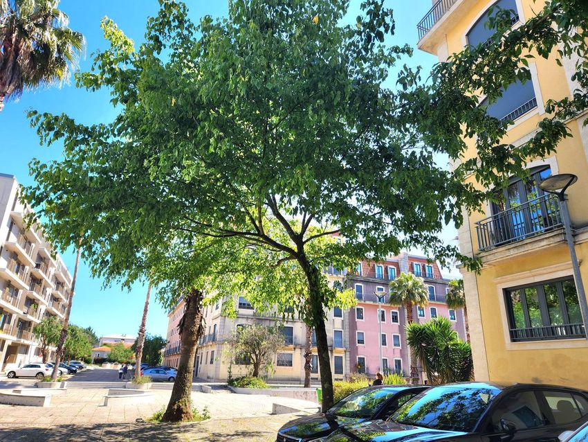 Imagem Jardim de apartamento t2 em Rua Antero Quental
