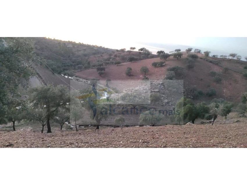 Imagem Vistas de  herdade em Vila Nova de São Bento
