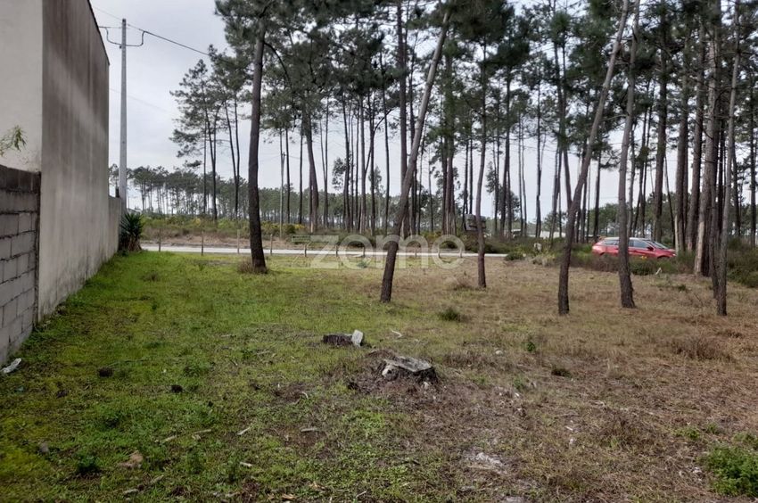 Imagem Terreno de terreno em Praça Dom Afonso Henriques