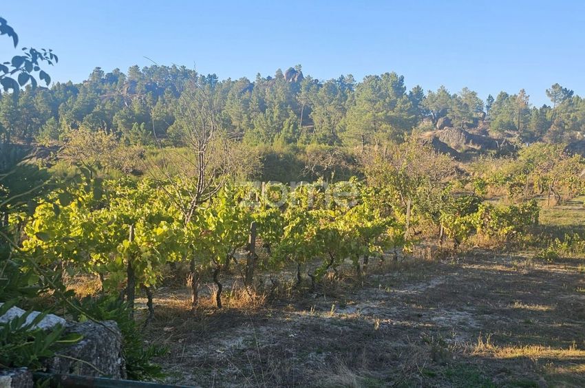 Imagem Terreno de terreno em Rua da Barreira