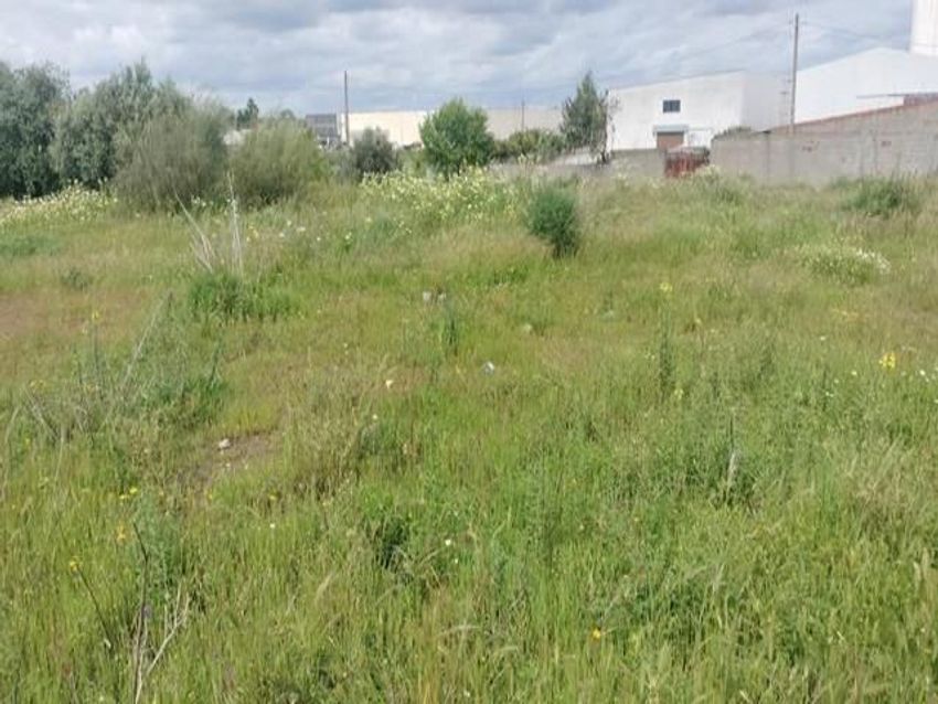 Зображення Сад, земельна ділянка, CM 523 б/н