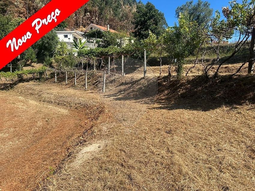 Imagem de terreno em Sabadim