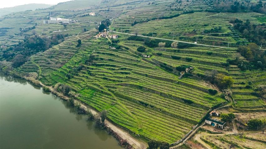 Imagem Terreno de terreno em Samodães