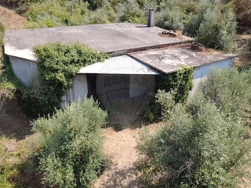 Imagem de arrecadação em Beco