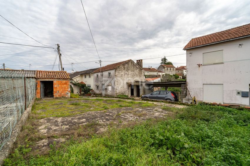 Imagem Jardim de  moradia independente em Rua das Flores