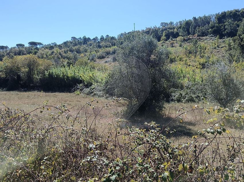 Imagem Vistas de terreno em Pombal