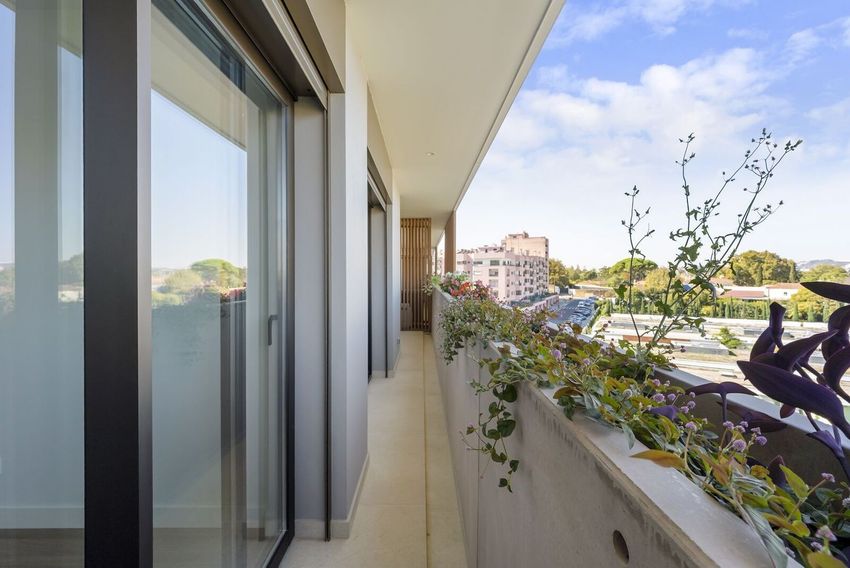 Imagem Terraço de apartamento t1 em Rua Professor Manuel Viegas Guerreiro