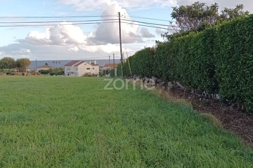 Imagem Terreno de terreno em Feteira