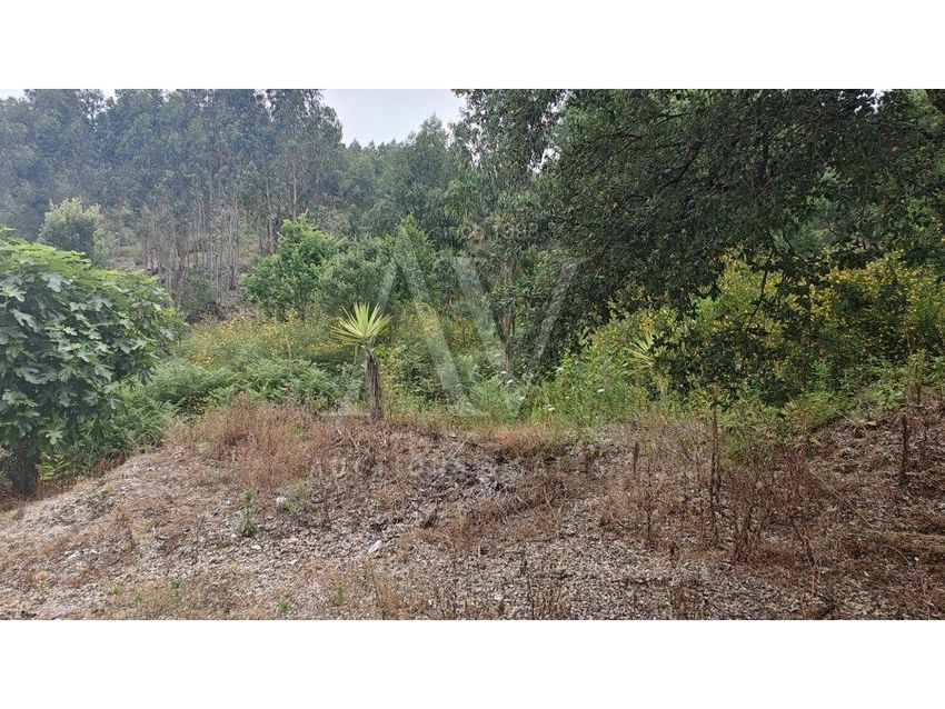 Imagem de terreno em Sousela