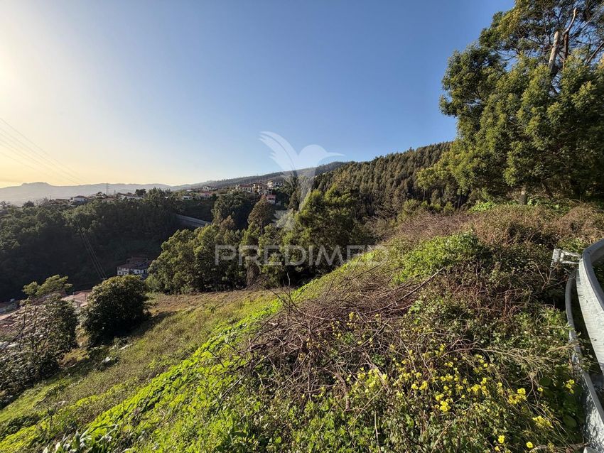 Imagem Vistas de terreno em Monte