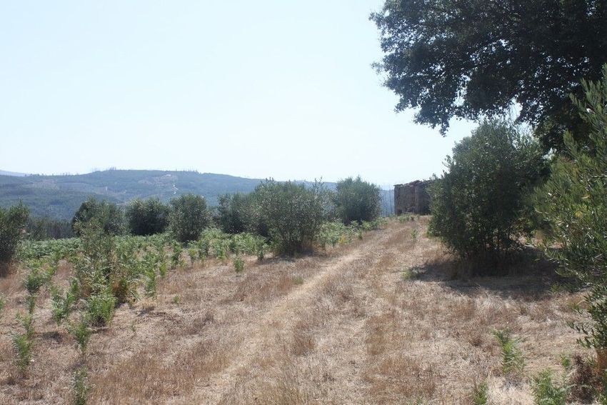 Imagem Terreno de terreno em Anceriz