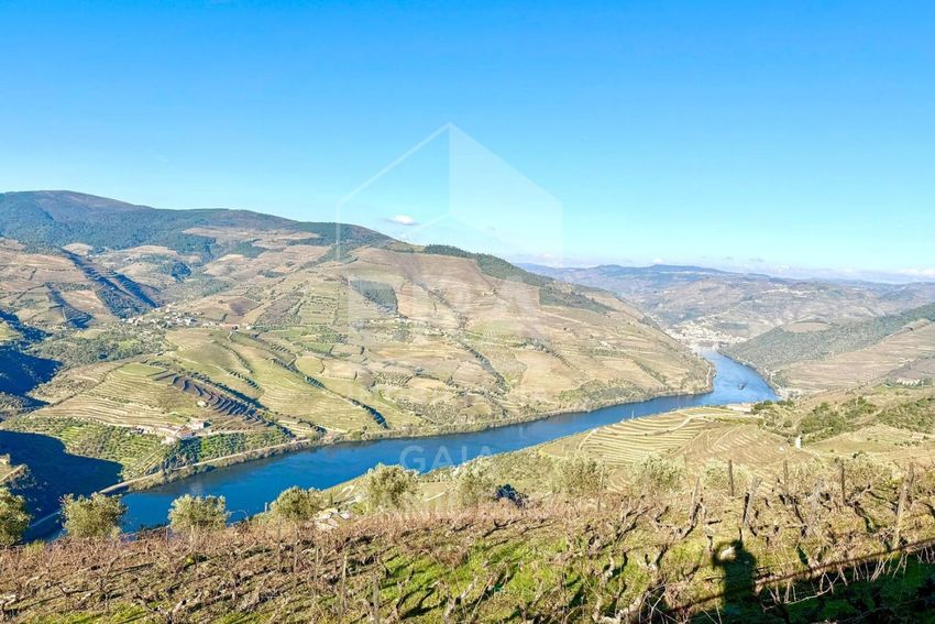 Imagem Vistas de terreno em Valença do Douro