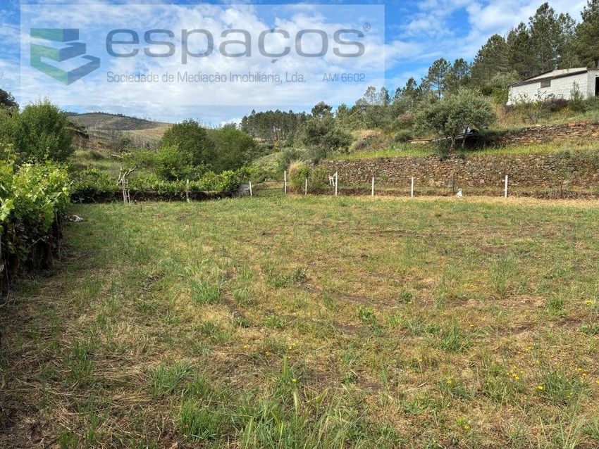 Imagem de terreno em Silvares