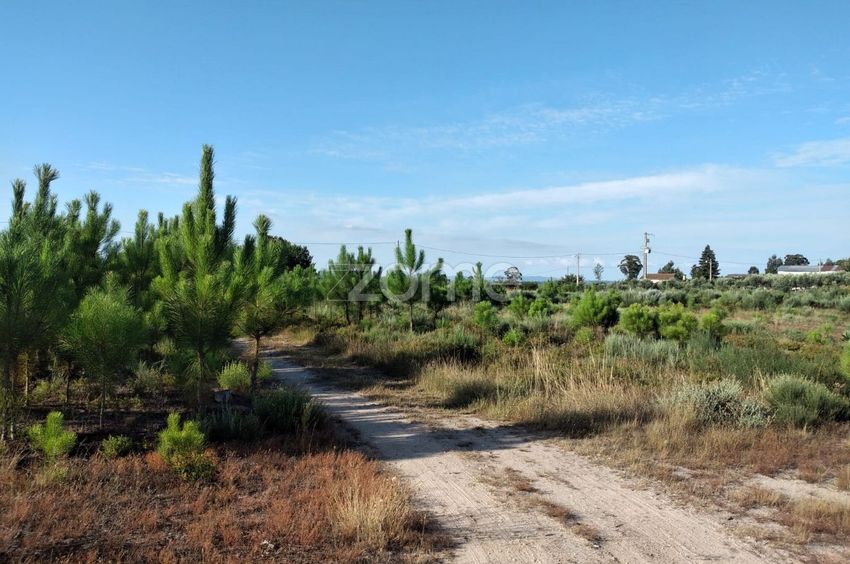 Imagem Terreno de terreno em Estrada Sem Nome