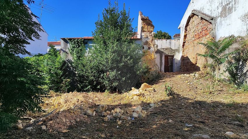Imagem Fachada de  moradia independente em São Pedro - Lapas - Ribeira Branca