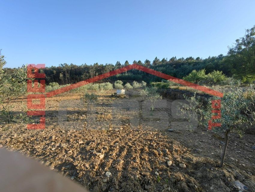 Imagem de terreno em Passos