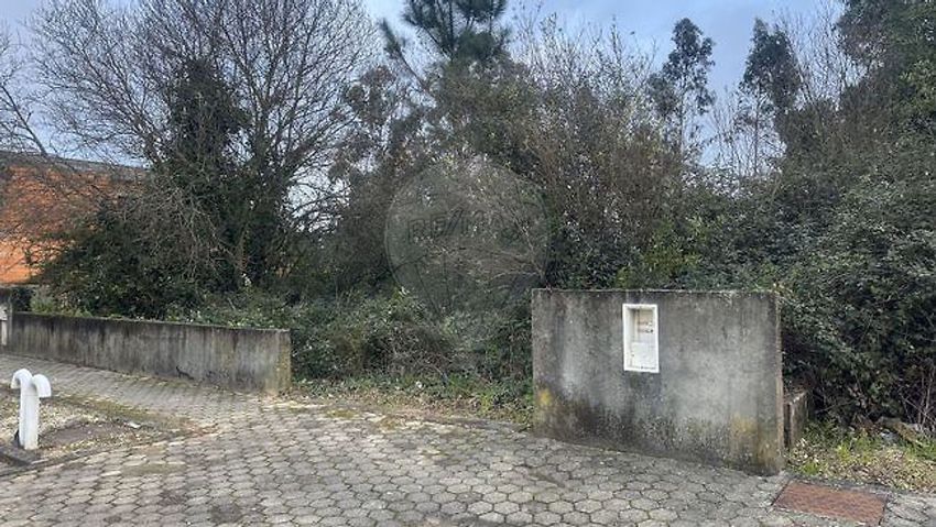 Imagem de terreno em Albergaria-a-Velha e Valmaior