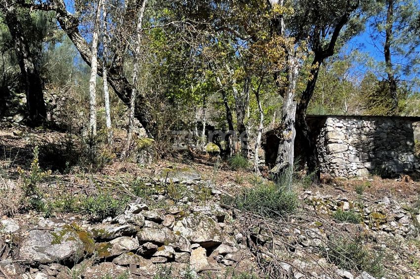 Imagem Terreno de terreno em Meijoeira