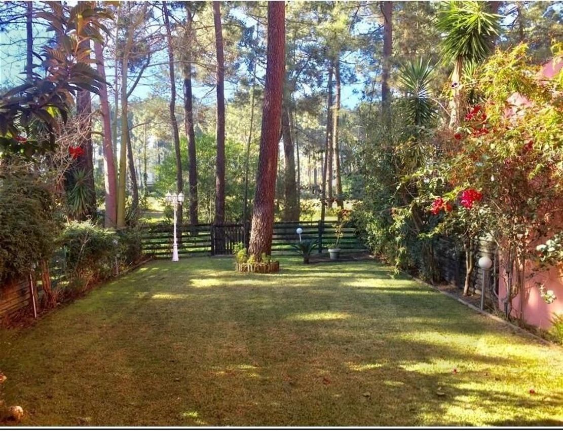 Imagem Jardim de apartamento t2 em Rua dos Pinheiros, 146
