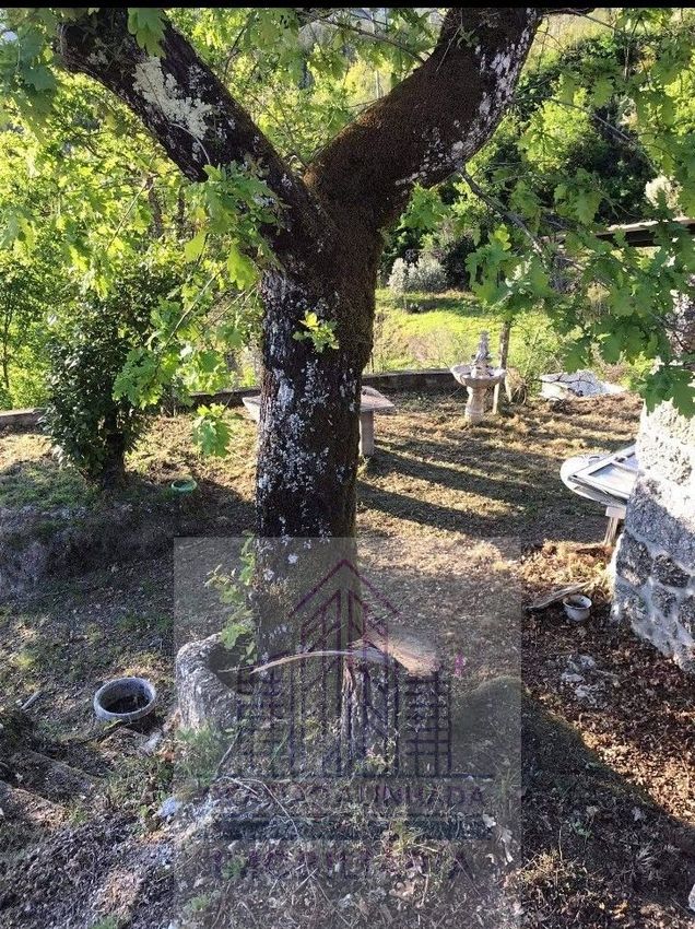 Imagem Jardim de  quinta em Penalva de Alva e São Sebastião da Feira