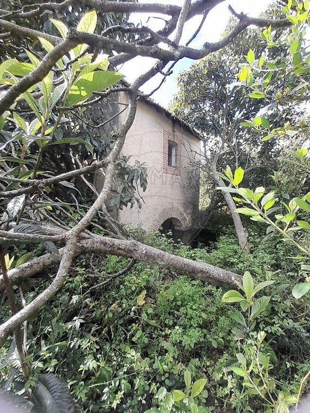 Imagem de terreno em Largo da Igreja