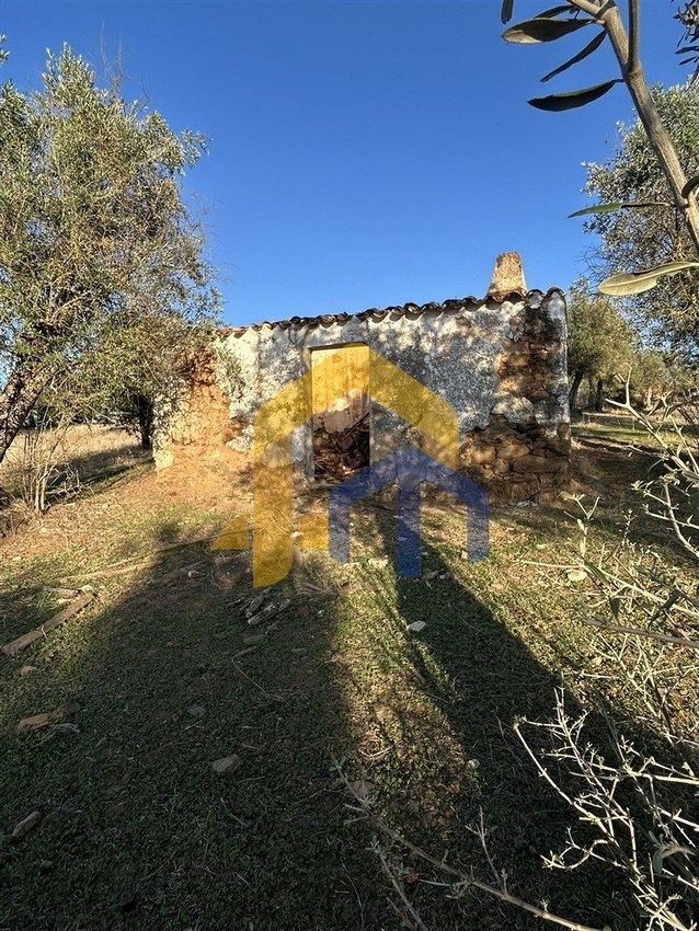 Зображення Сад,  кінта, Redondo
