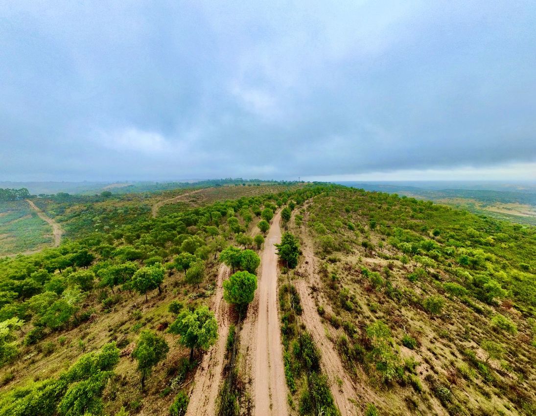 Imagem Vistas de terreno em Rosmaninhal