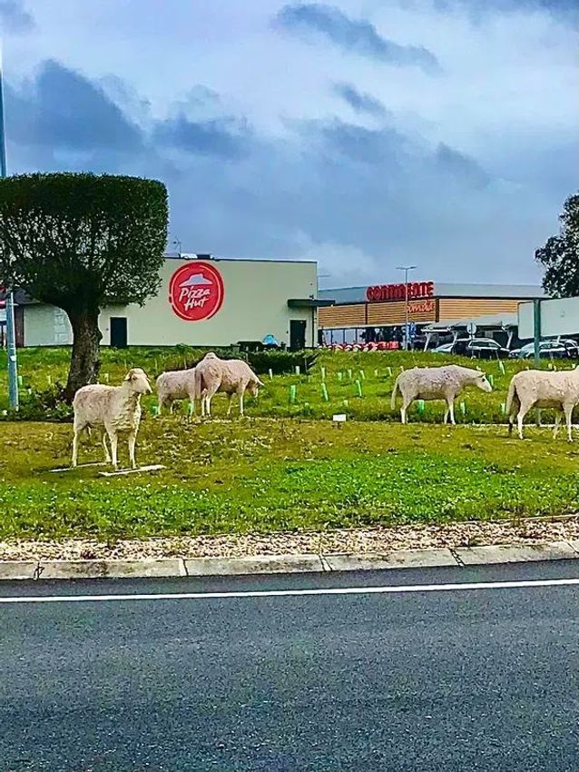 Imagem de quarto em Galeotas, 1