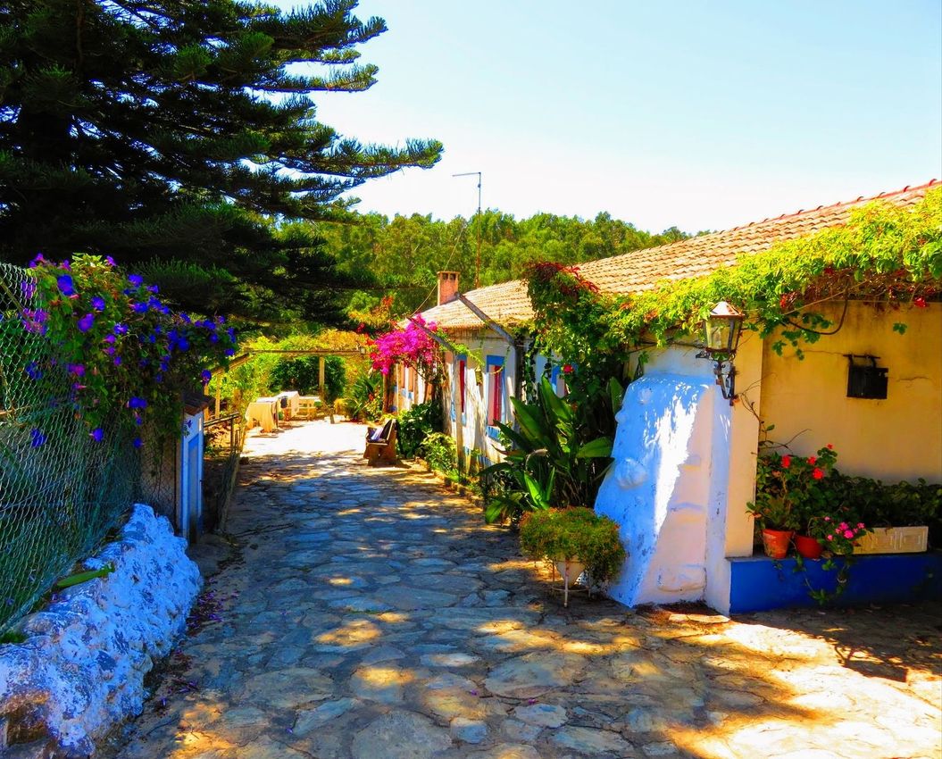 Imagem Fachada de  quinta em Ribeira da Azenha Notem