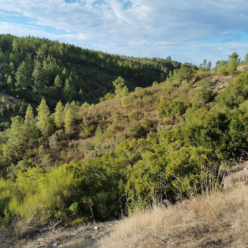 Imagem Terreno de terreno em N18 s/n
