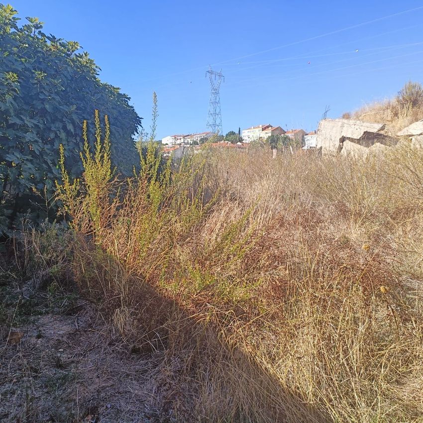 Imagem Vistas de terreno em Rua Alfatar, 25