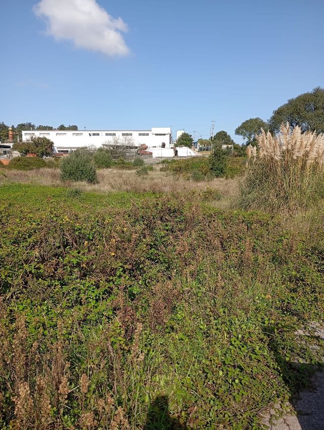 Imagem de terreno em Rua Cerejeiras