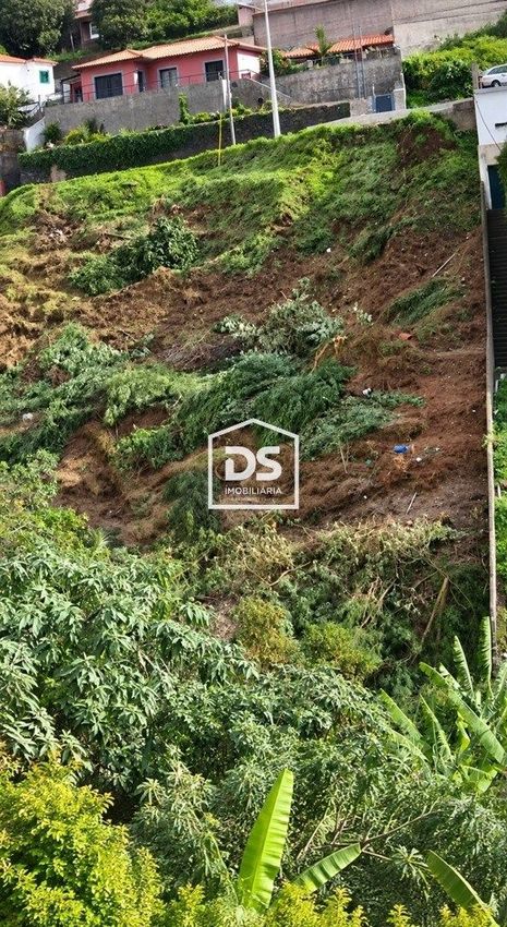 Imagem de terreno em Monte